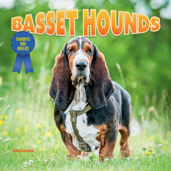 Basset Hounds