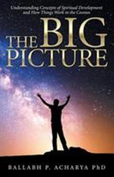 Paperback The Big Picture: Understanding Concepts of Spiritual Development and How Things Work in the Cosmos Book