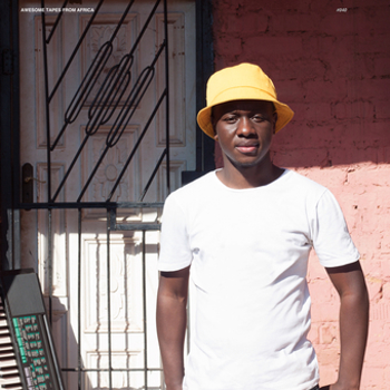 Vinyl Amapiano Selections Book