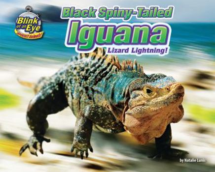 Library Binding Black Spiny-Tailed Iguana: Lizard Lightning! Book