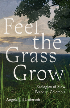 Feel the Grass Grow: Ecologies of Slow Peace in Colombia