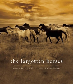 Hardcover The Forgotten Horses Book
