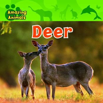 Deer - Book  of the Amazing Animals