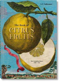 Hardcover J. C. Volkamer. the Book of Citrus Fruits Book