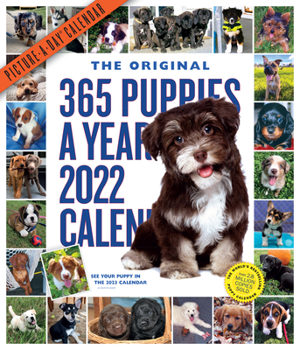 Calendar 365 Puppies-A-Year Picture-A-Day Wall Calendar 2022: The Most Adorable, Irresistible Puppies. Book