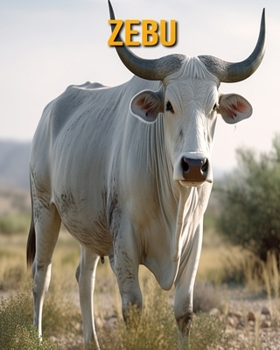 Paperback Zebu: Buch mit lustigen Fakten für Kinder [German] Book