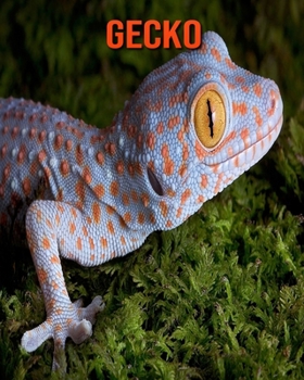 Gecko: Amazing Facts about Gecko