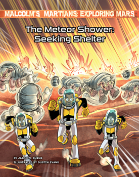 Library Binding The Meteor Shower: Seeking Shelter Book