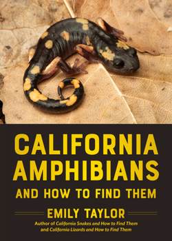 Paperback California Amphibians and How to Find Them Book