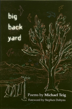 Paperback Big Back Yard Book