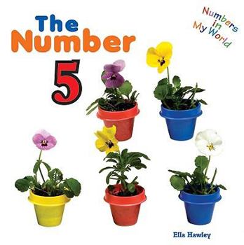 Board book The Number 5 Book