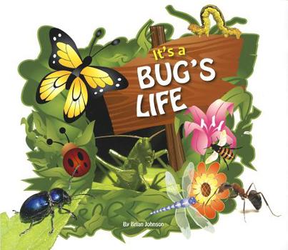 Paperback It's a Bug's Life Book