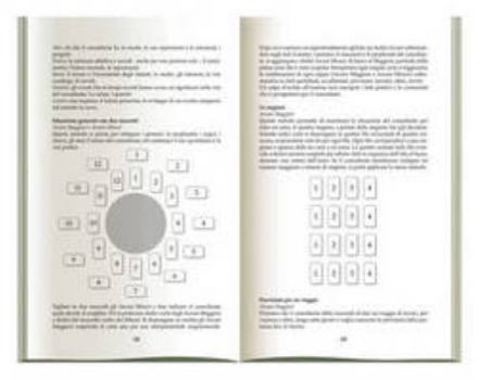Paperback Tarot for Everyone Book