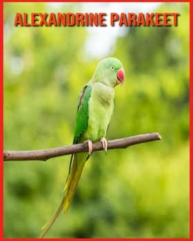 Paperback Alexandrine Parakeet: Super Fun Facts And Amazing Pictures Book