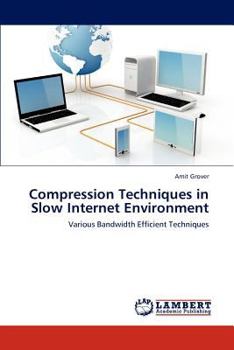 Paperback Compression Techniques in Slow Internet Environment Book