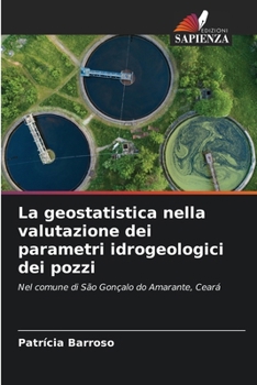 Paperback La geostatistica nella valutazione dei parametri idrogeologici dei pozzi [Italian] Book