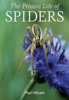 Hardcover The Private Life of Spiders Book