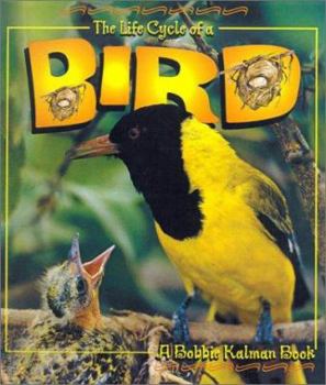 School & Library Binding Bird Book
