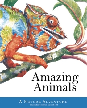 Hardcover Amazing Animals: A Nature Adventure Book