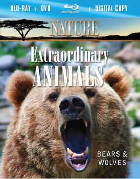 Blu-ray Nature: Extraordinary Animals Bears & Wolves Book