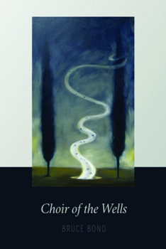 Paperback Choir of the Wells Book