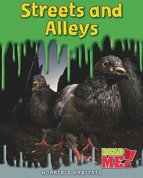 Paperback Streets and Alleys (Horrible Habitats) Book