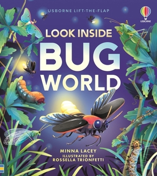 Board book Look Inside Bug World Book