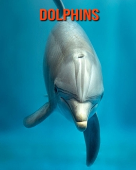 Paperback Dolphins: Beautiful Pictures & Interesting Facts Children Book About Dolphins Book