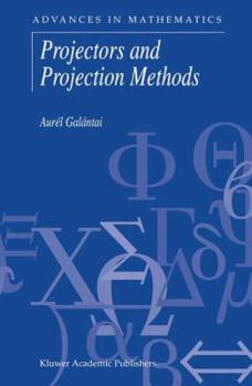 Paperback Projectors and Projection Methods Book
