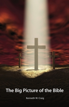 Paperback The Big Picture of the Bible Book