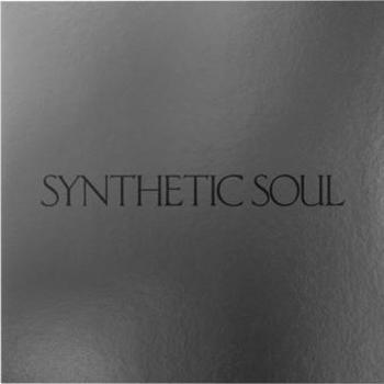 Vinyl Synthetic Soul Book