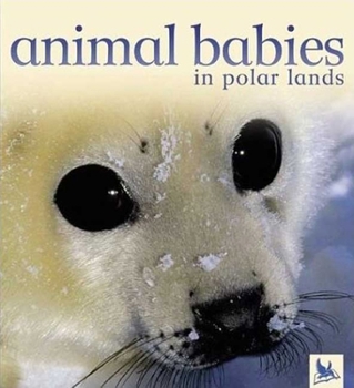 Hardcover Animal Babies in Polar Lands Book