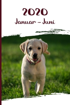Kalender 2020: Labrador Retriever Hunde Tageskalender 1. Halbjahr Januar Juni ca DIN A5 weiß über 190 Seiten (German Edition)