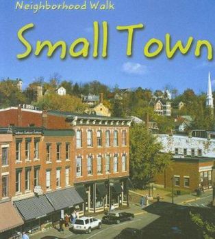 Paperback Small Town Book