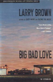 Hardcover Big Bad Love: Stories Book