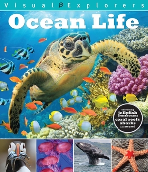 Paperback Ocean Life Book