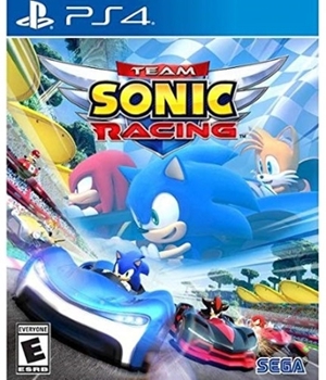 Video Game Team Sonic Racing Book