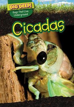 Paperback Cicadas Book