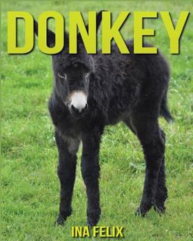 Paperback Donkey: Children Book of Fun Facts & Amazing Photos on Animals in Nature - A Wonderful Donkey Book for Kids aged 3-7 Book