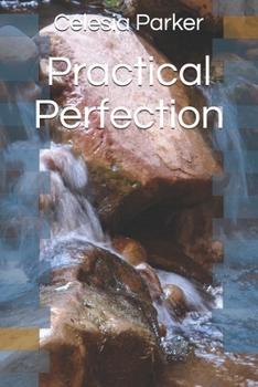 Paperback Practical Perfection Book