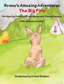 Hardcover The Big Fire Book