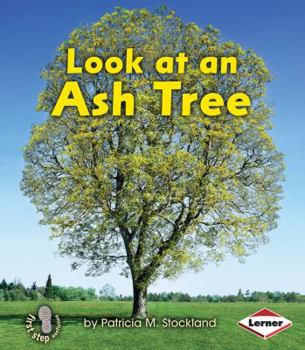 Paperback Look at an Ash Tree Book