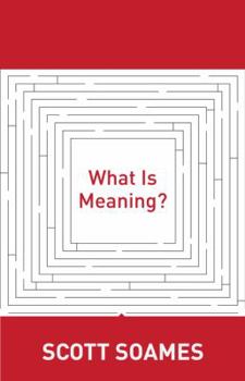 Hardcover What Is Meaning? Book