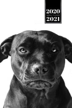 Staffordshire Bull Terrier Dog Calendar Week Planner 2020 / 2021 - Black & White: Pup Puppy Doggie Pet Owner Weekly Bullet Journal Notebook Diary in 6” x 9” Inch Pocket Size