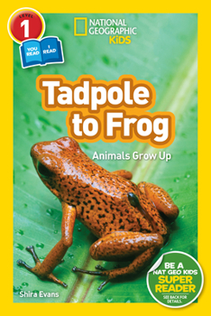 Paperback National Geographic Readers: Tadpole to Frog (L1/Coreader) Book