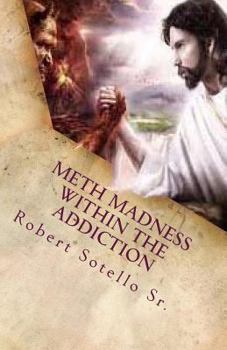 Paperback METH Madness Within The Addiction Book