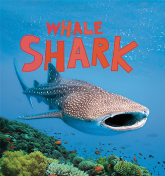 Hardcover Whale Shark (Discover Sharks) Book