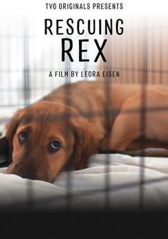 DVD Rescuing Rex Book