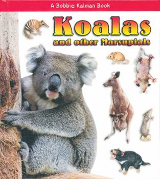 Library Binding Koalas and Other Marsupials Book