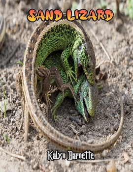 SAND LIZARD FACTS: SAND LIZARD fact for girl age 1-10 SAND LIZARD fact for boy age 1-10 facts about all about SAND LIZARD